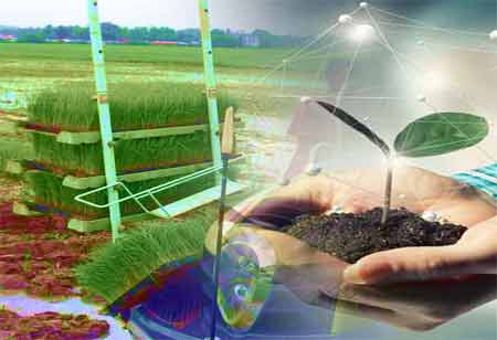 The Ultimate Checklist of Features for Educational Apps